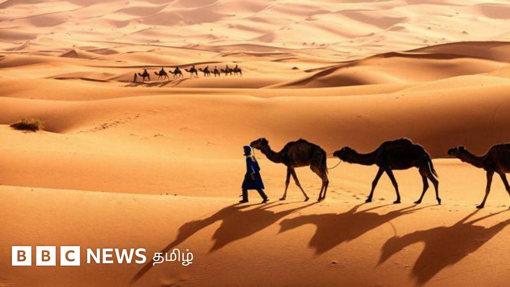 சௌதி அரேபியா: நாடோடிகள் கட்டமைத்த பாலைவன தேசம் -  மெக்கா முஸ்லிம் வசமானது எப்போது?