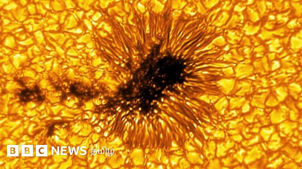 நீங்கள் இதுவரை பார்த்திராத சூரியன்: சக்திவாய்ந்த தொலைநோக்கி மூலம் எடுக்கப்பட்ட மிக நெருக்கமான படங்கள்