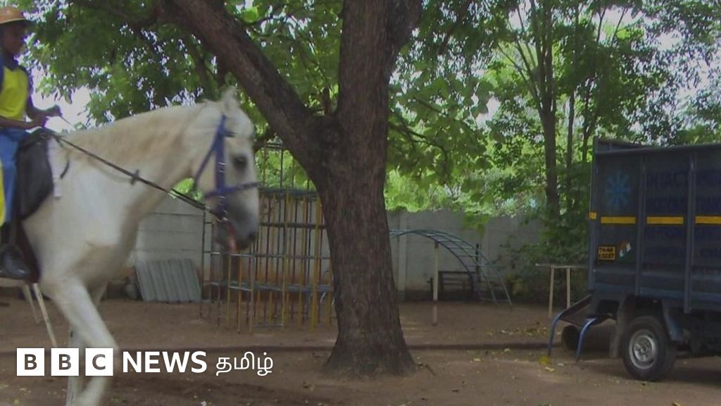 தமிழ்நாட்டிலேயே முதன்முறை: சிறப்பு குழந்தைகளுக்கு குதிரை சவாரி மூலம் சிகிச்சை