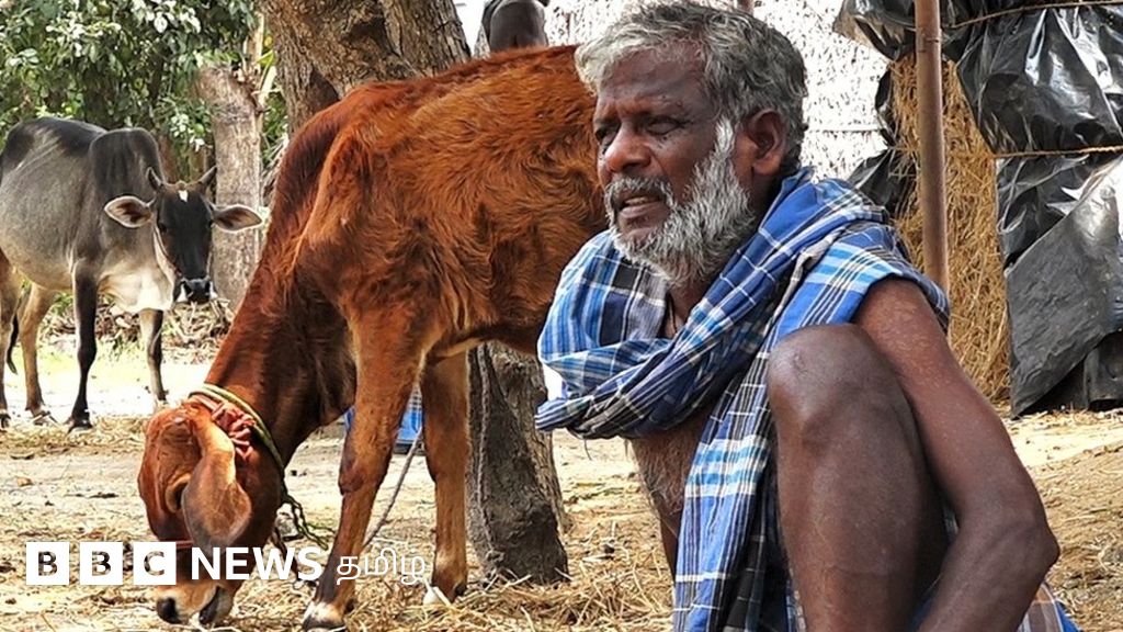 என்எல்சி சுரங்கத்துக்கு நிலம் - எதிர்க்கும் கிராம - எதிர்பார்ப்பும் என்ன? - கள நிலவரம்