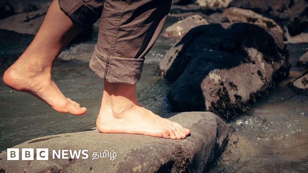 உடல் அறிவியல்: இதய, நீரிழிவு நோய்களுக்கும் தண்ணீரில் நனைவதால் விரல்களில் ஏற்படும் சுருக்கங்களுக்கும் உள்ள தொடர்பு என்ன?