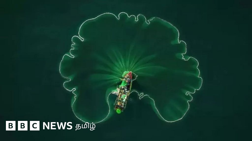 அதிசயமூட்டும் ஆழ்கடல் காட்சிகள் - ஐ. நா புகைப்படப் போட்டியில் வென்ற பெருங்கடல் புகைப்படங்கள்