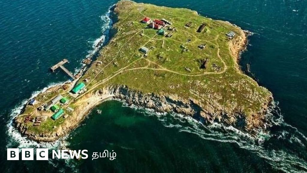 பாம்புத் தீவு: ரஷ்யப் போர்க்கப்பலை எதிர்த்த யுக்ரேனிய வீரர்கள் நிலை என்ன?