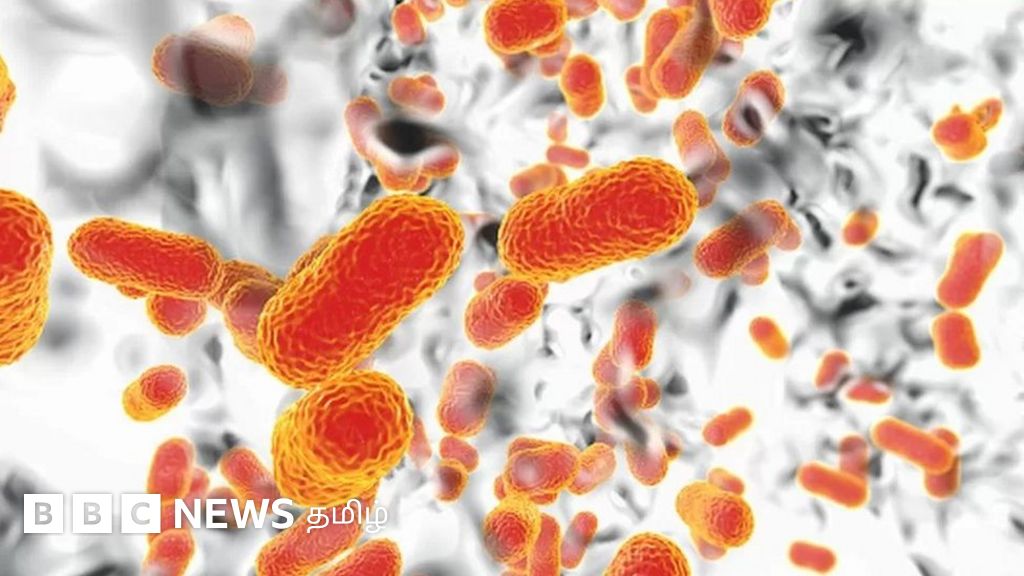 ஆன்டிபயாட்டிக்-எதிர்ப்பு சூப்பர்பக்: இந்தியா புதுவித தொற்றுடன் போராடுகிறதா?