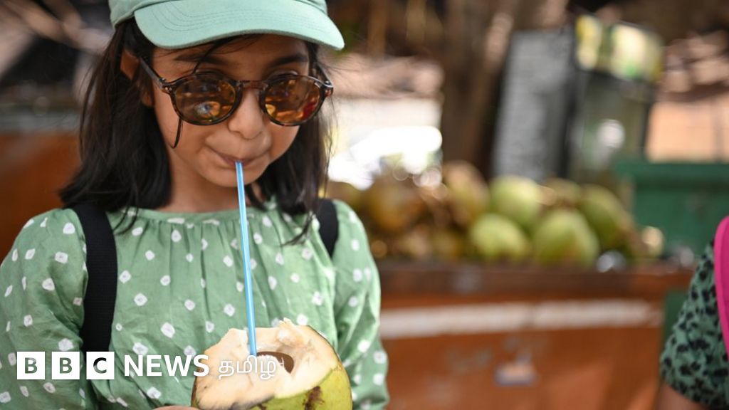 உலக தேங்காய் தினம்: தேங்காய் சாப்பிடுவது உடலில் கொழுப்பு சேருவதைத் தடுக்குமா?