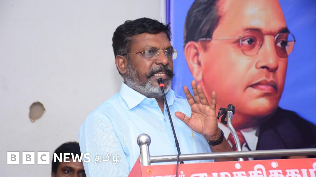 பாஜக, பாமக, போலீஸ்: நான் ஏன் அப்படிப் பேசினேன்? திமுக அரசு எப்படி செயல்படுகிறது? திருமாவளவன் பேட்டி