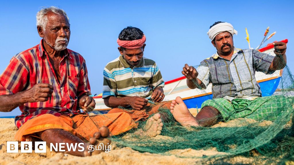 இந்திய பெருங்கடல்: மீன் வளம் முற்றிலும் அழியும் ஆபத்து - தமிழக மீனவர்கள் எதிர்காலம் என்ன ஆகும்?