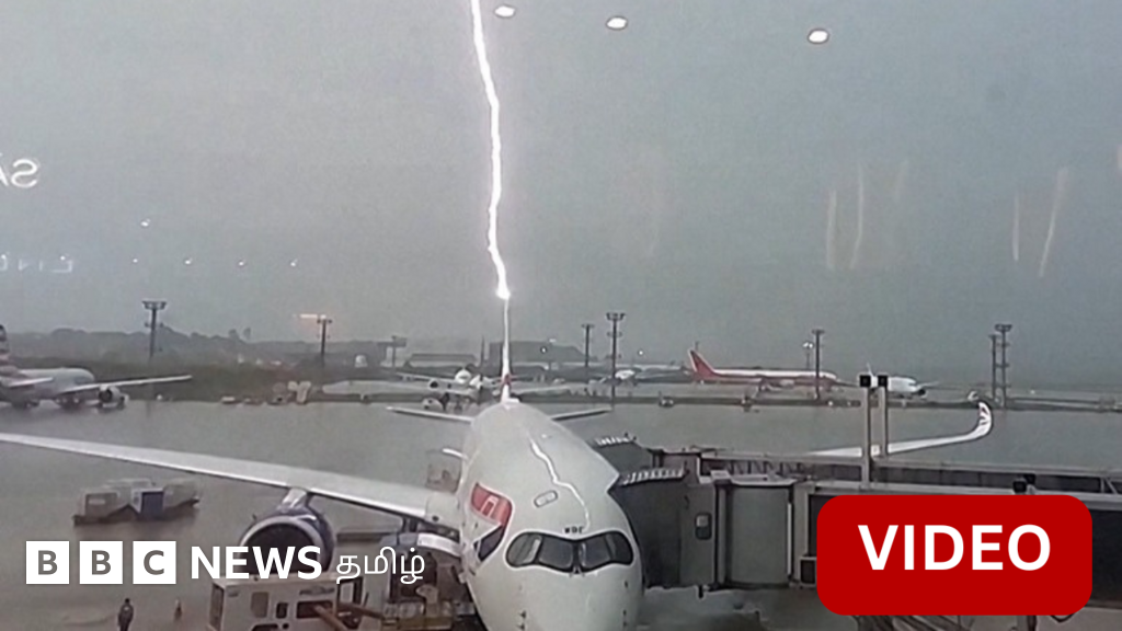 விமானத்தை தாக்கிய மின்னல் - பின்னர் நடந்தது என்ன? (காணொளி)