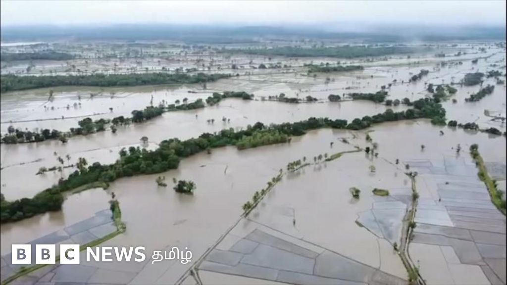 திட்வா புயல்: வெள்ளக் காடாக மாறிய இலங்கை - பாதிப்புகளை காட்டும் புகைப்படத் தொகுப்பு