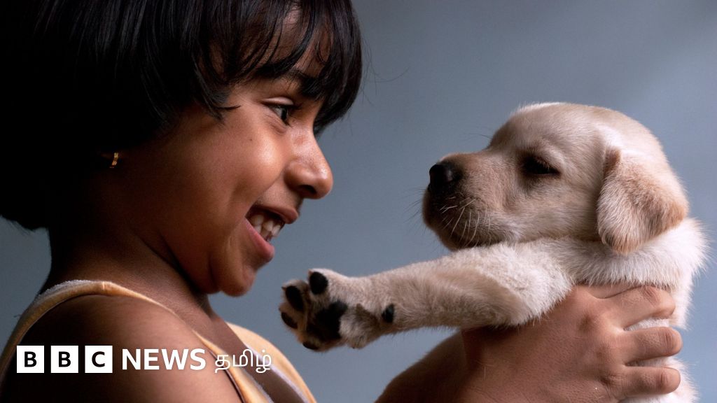 நாய் மீது மனிதர்கள் அன்பு செலுத்துவது ஏன்? அறிவியல் விளக்கம்