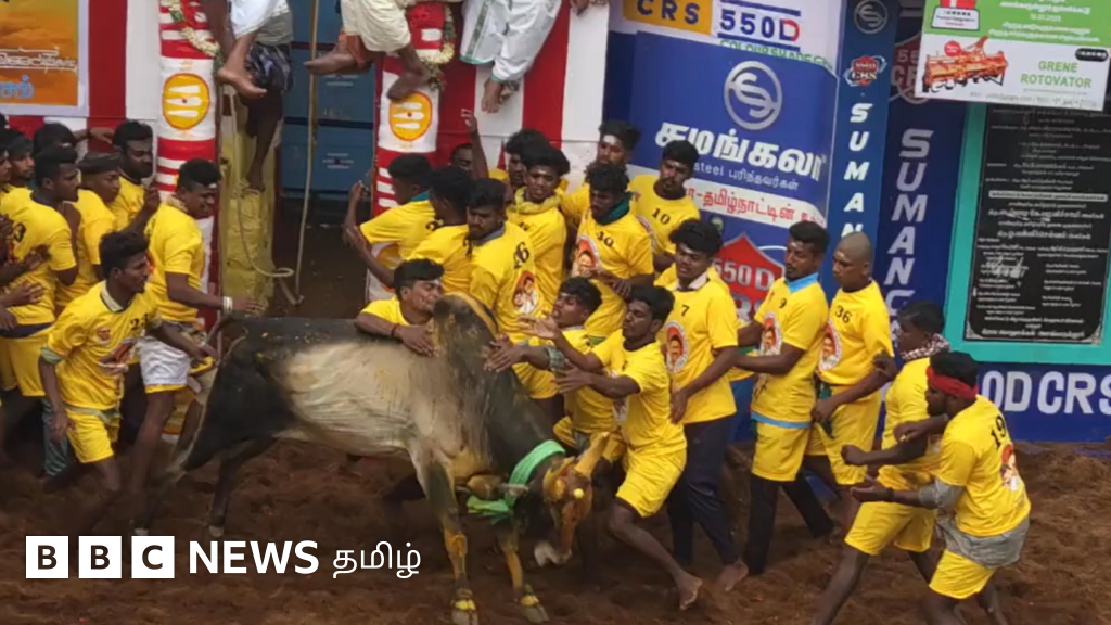 உலகப் புகழ்பெற்ற அலங்காநல்லூர் ஜல்லிக்கட்டு: வெளிநாட்டவர் தகுதி நீக்கம் - சமீபத்திய தகவல்கள் 