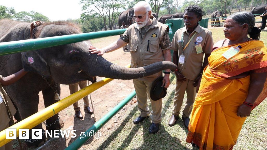 பொம்மன் - பெள்ளியுடன் பிரதமர் மோடி சந்திப்பு