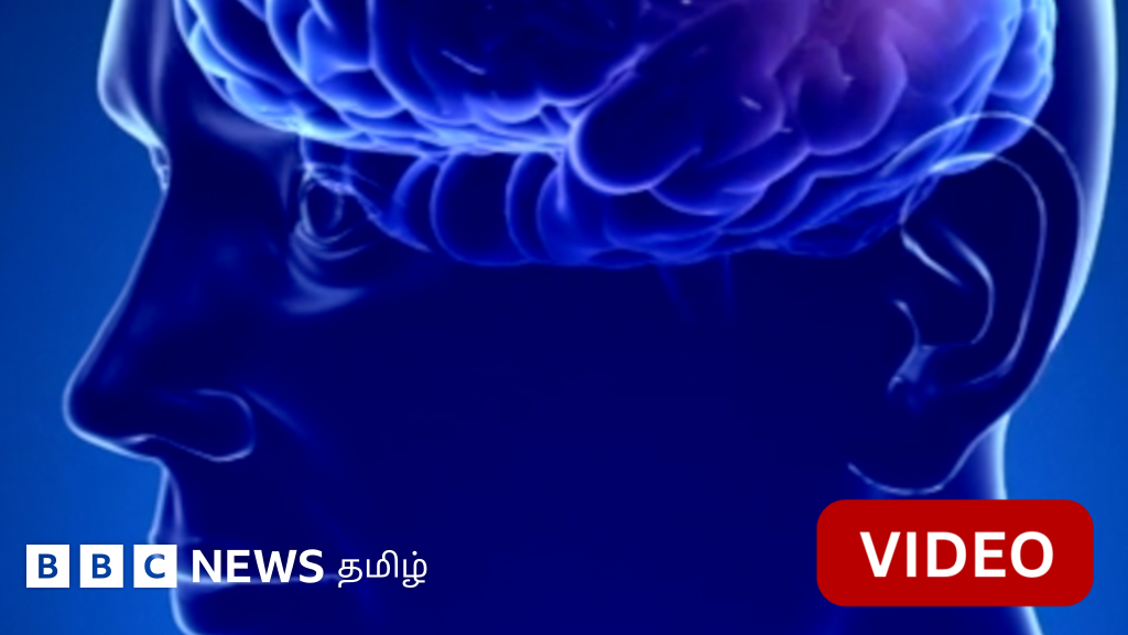 காணொளி: ஒரு கருவி மூலம் மூளையில் நினைவாற்றலை தூண்ட முடியுமா?
