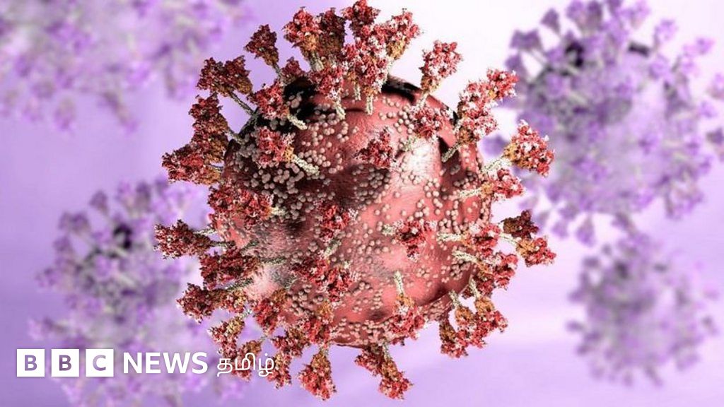 கொரோனாவிலிருந்து மீண்டவர்களை ஒமிக்ரான் தாக்குமா? முதற்கட்ட தரவுகள் சொல்வதென்ன?