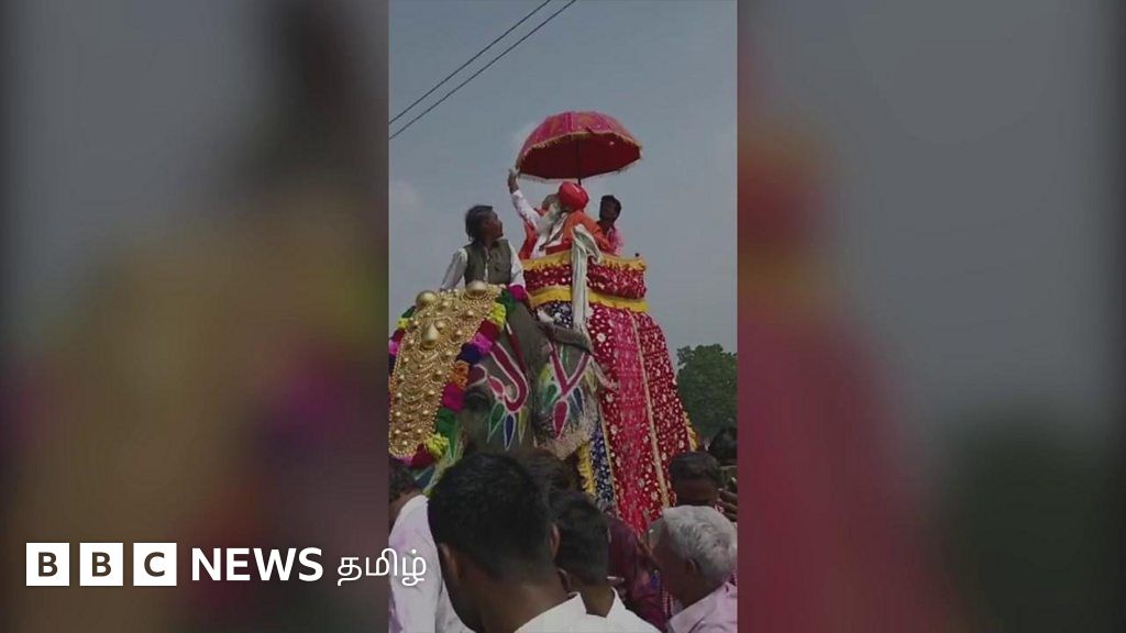 யானைக்கு ஷாக்: சவாரி செய்தவர்கள் கீழே விழுந்து பதற்றம்