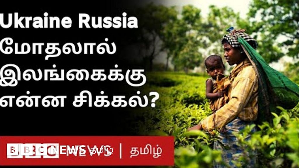 யுக்ரேன்-ரஷ்யா மோதலால் இலங்கை பொருளாதாரத்துக்கு ஏற்பட்டுள்ள சிக்கல்