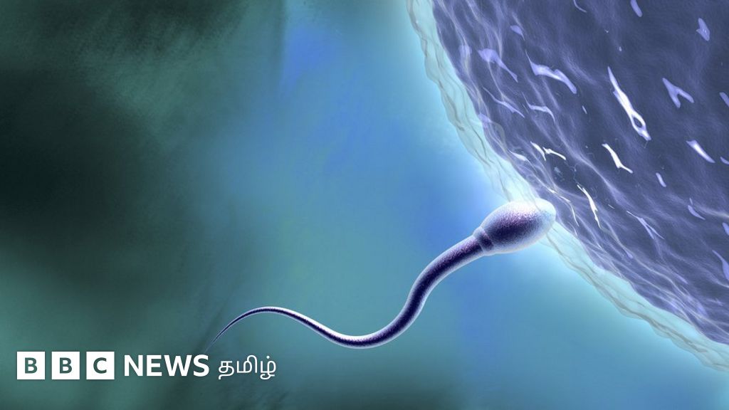 கொரோனா தொற்று: 'லேசான பாதிப்பும் ஆண்களுக்கு மலட்டுத் தன்மையை ஏற்படுத்தும்' - ஆய்வில் தகவல்