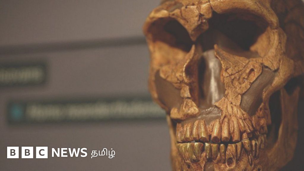 நியாண்டர்தால் மனிதர்கள் - நவீன மனிதர்கள் நீண்ட காலம் சேர்ந்து வாழ்ந்தனர்: புது கண்டுபிடிப்பு