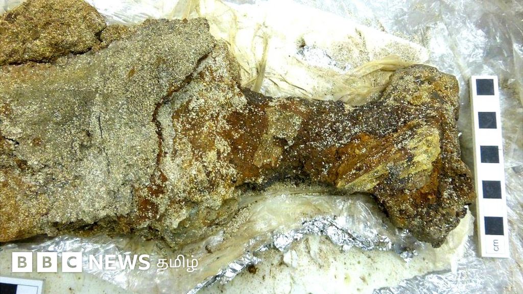 எக்ஸ்ரே செய்யப்பட்ட வைக்கிங் யுகத்து வாள்: 9-ம் நூற்றாண்டு வரலாற்றை சொல்லும் வாய்ப்பு