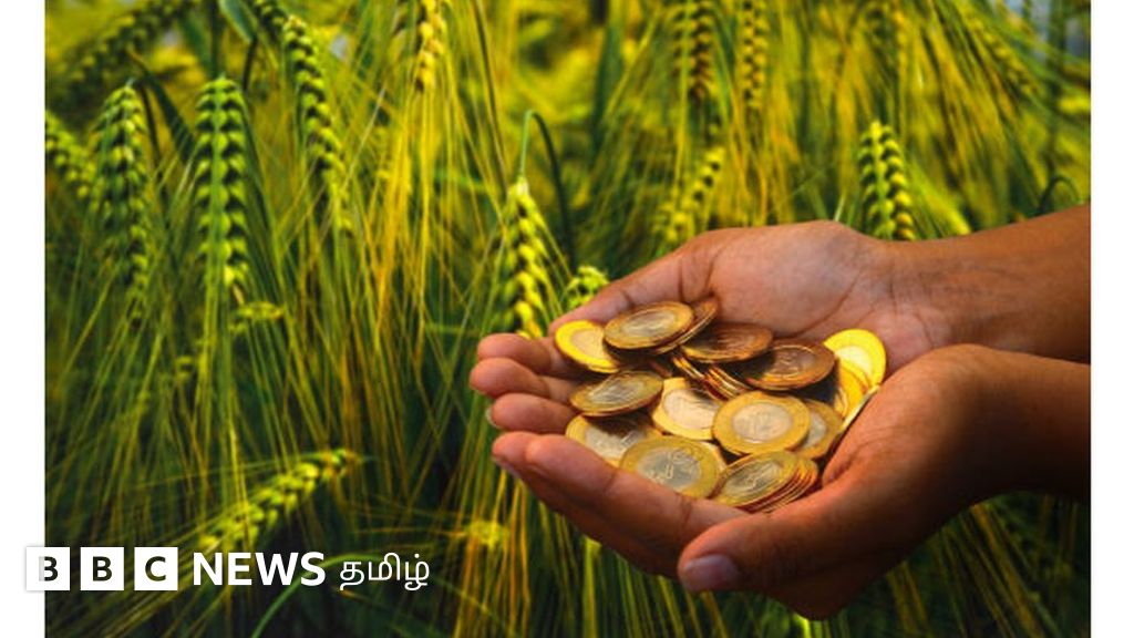 தமிழ்நாட்டில் வேளாண்மைக்கு 2வது ஆண்டாக தனி பட்ஜெட் - விவசாயிகளின் எதிர்பார்ப்பு என்ன ?