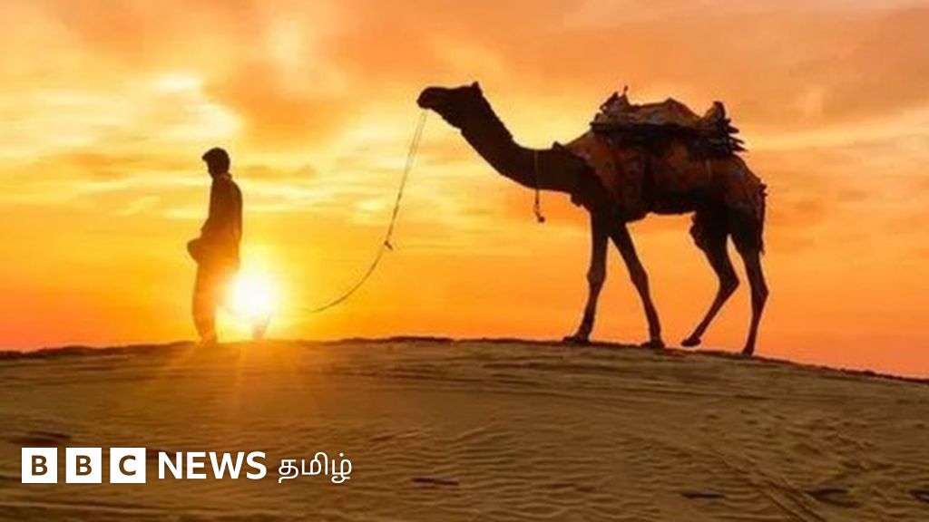 சூரிய சக்தி மின் உற்பத்தி: ராஜஸ்தான் தார் பாலைவனத்தில் 14,000 ஏக்கர் சோலார் பார்க் - என்ன சிறப்பு?