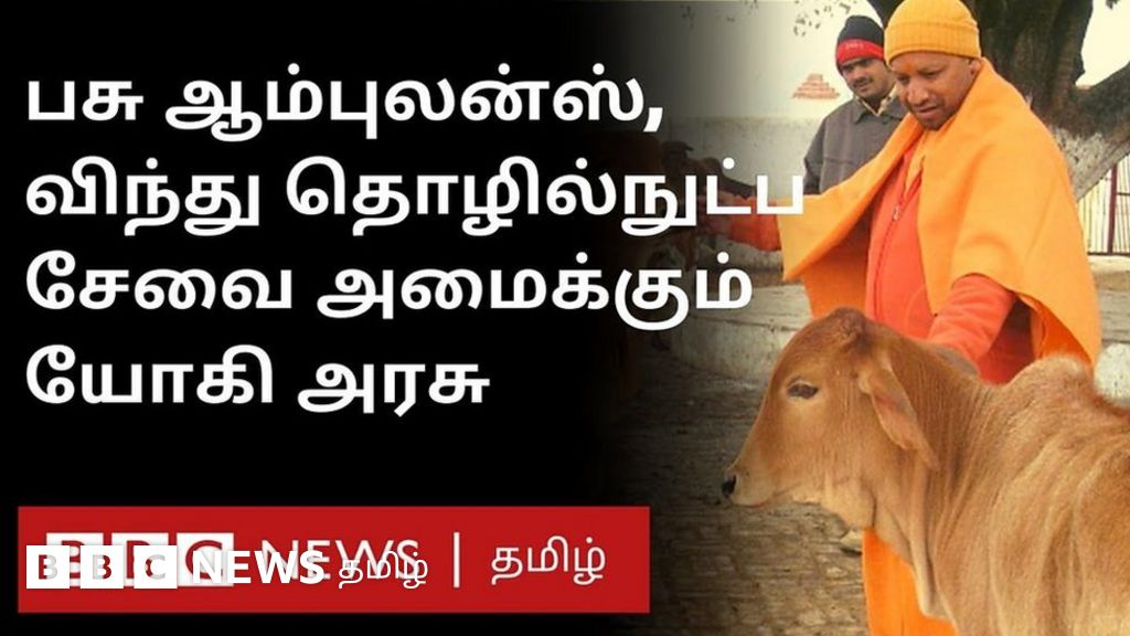 பசுக்களின் இனப்பெருக்கத்தை ஊக்குவிக்கும் யோகி அரசு - டிசம்பரில் 24 மணி நேர ஆம்புலன்ஸ் சேவை