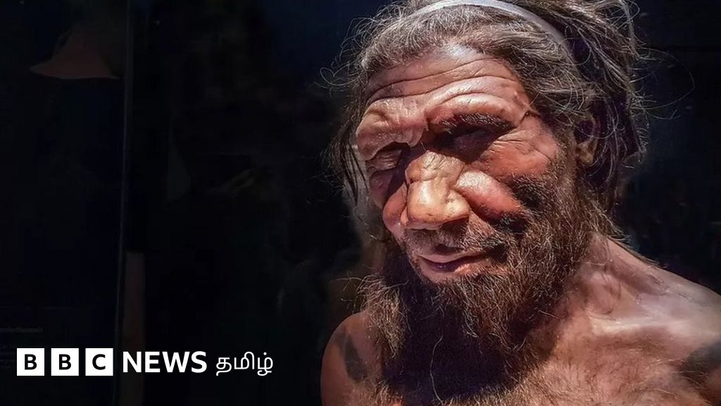 நோபல் பரிசு வென்ற ஸ்வாந்தே பாபோ: நியாண்டர்தால் மனிதர்கள் பற்றிய புதிர் கேள்விகளுக்கு பதில்கள்