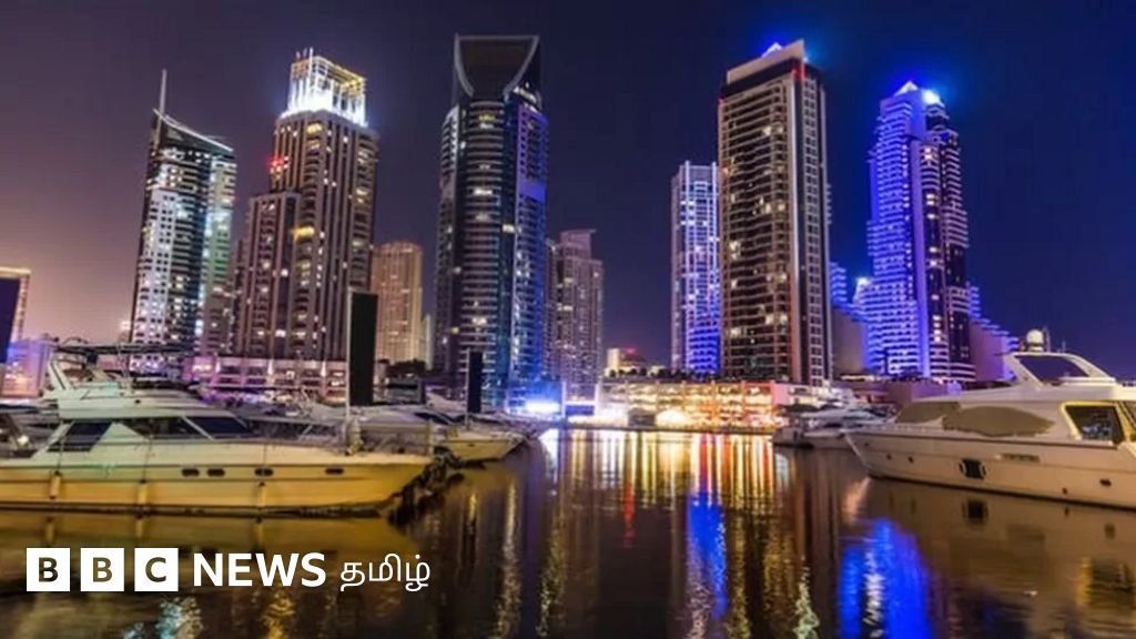 ஐக்கிய அரபு அமீரகத்தில் அமல்படுத்தப்பட்ட புதிய விசா கொள்கை: இந்தியர்களுக்கு இதனால் நன்மை ஏற்படுமா?