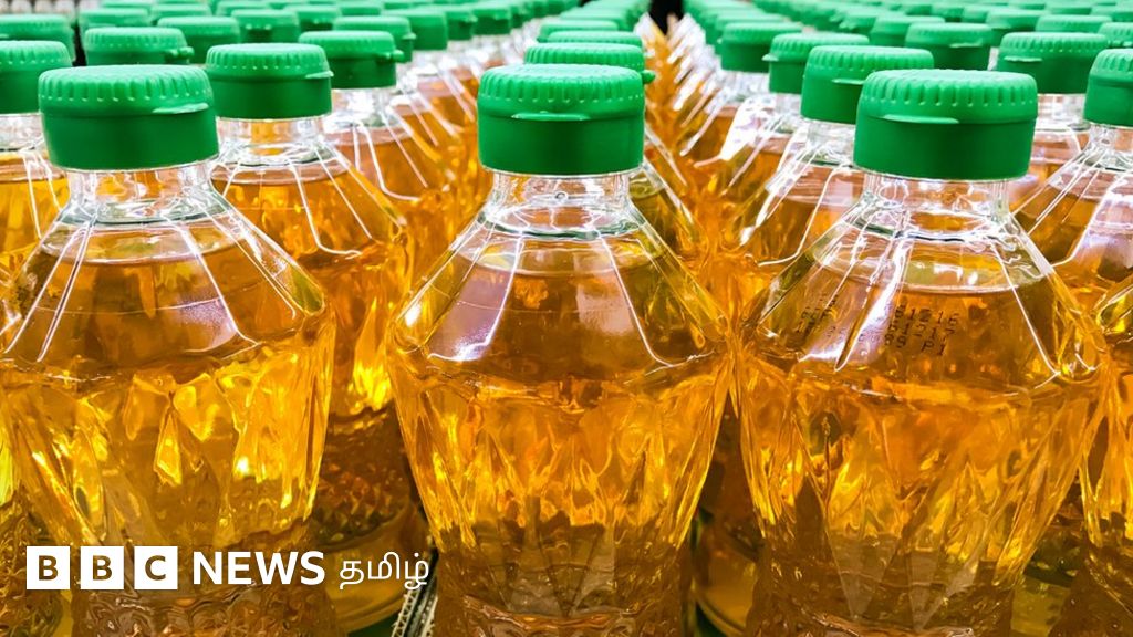 பாமாயில் தொடர்பாக இந்தோனீசியா எடுத்துள்ள முக்கிய முடிவு - இந்தியாவுக்கு என்ன பாதிப்பு?