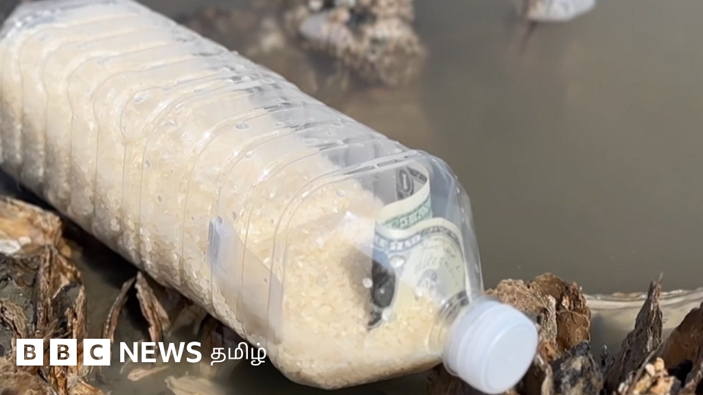 வடகொரியாவுக்கு பாட்டில் மூலம் அரிசி அனுப்பும் தென்கொரியர்கள்