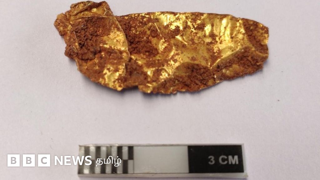 ஆதிச்சநல்லூர் அகழாய்வில் தங்க நெட்டிப்பட்டம், வெண்கல பொருட்கள் கண்டெடுப்பு