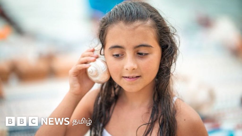 மொரிஷியஸ் தீவு ஏன் தன்  கிளிஞ்சல்களை  இழந்துகொண்டிருக்கிறது?