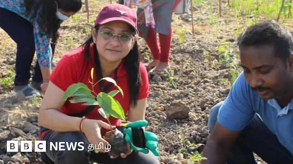 சென்னையின் குறுங்காடுகள்: பார்வை அழகுக்கா பசுமை உயர்வுக்கா? உண்மை என்ன?