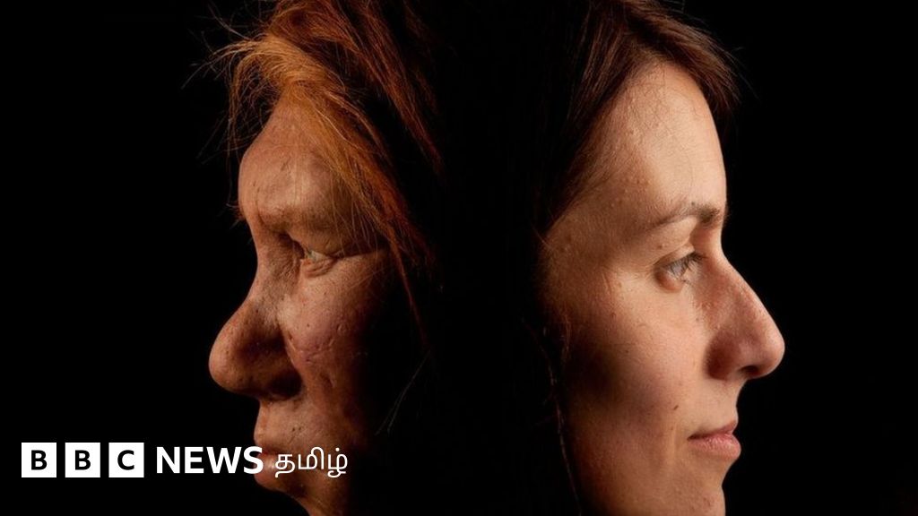 நியாண்டர்தால் பெண்களை மனிதர்கள் இனப்பெருக்கத்துக்காக பயன்படுத்தினார்களா?