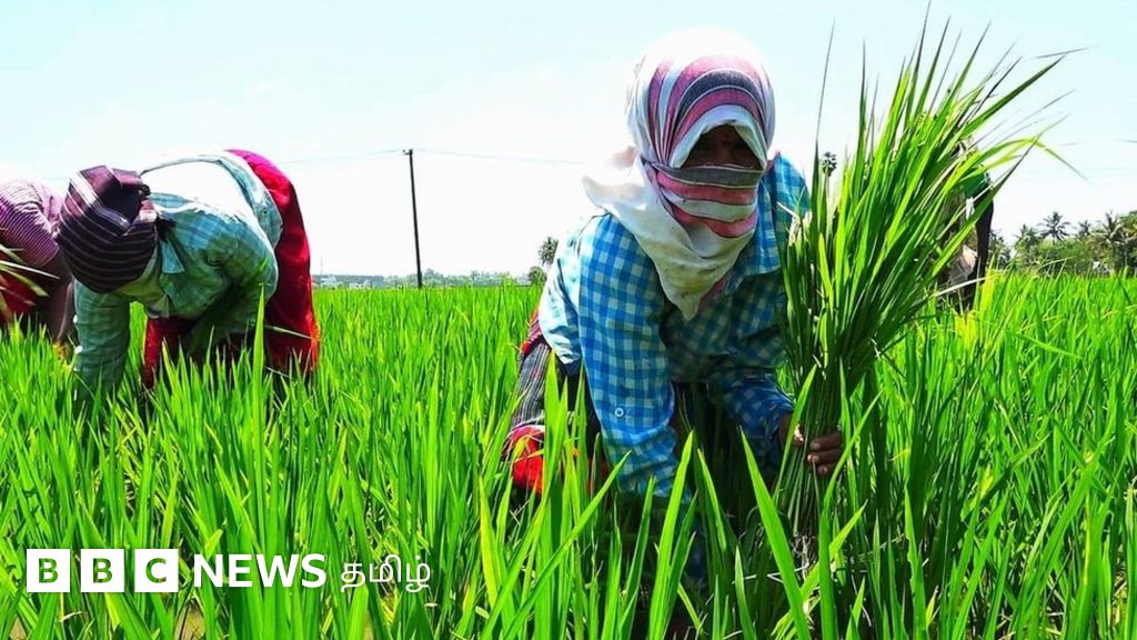 விவசாயத்துக்காக இந்திய அரசு ஒரே ஆண்டில் ரூ. 123 லட்சம் கோடி செலவிட்டது உண்மையா?