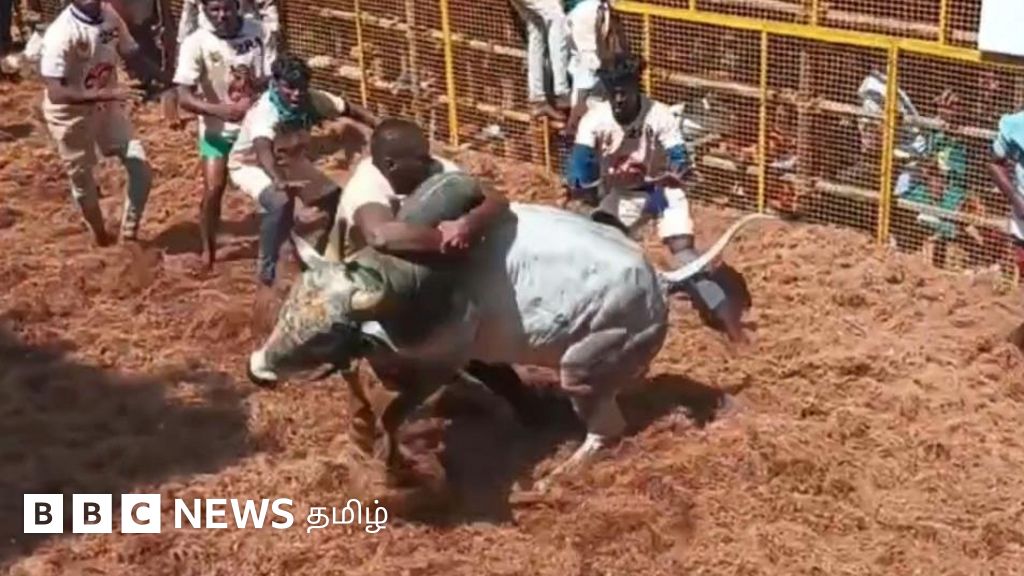அவனியாபுரம் ஜல்லிக்கட்டு: 22 காளைகளை பிடித்தவருக்கு கார் பரிசு - முழு விவரம்