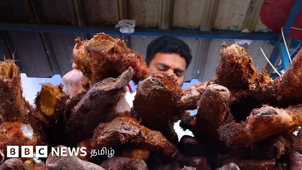 ஏற்காட்டில் கிடைக்கும் 'சைவ மட்டன் சூப்' - என்ன சிறப்பு?