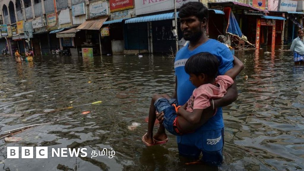 தமிழ்நாடு மழை வெள்ளம்: சென்னை, தூத்துக்குடி, திருவாரூர் மாவட்டங்கள் தத்தளிப்பு