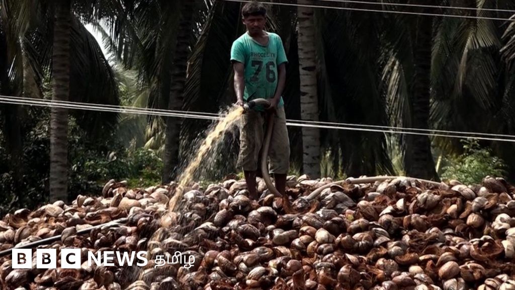 தமிழ்நாடு தென்னை நார் தொழிற்சாலைகளால் வாழ்வாதாரம் பாதிக்கப்படும் கிராமங்கள்