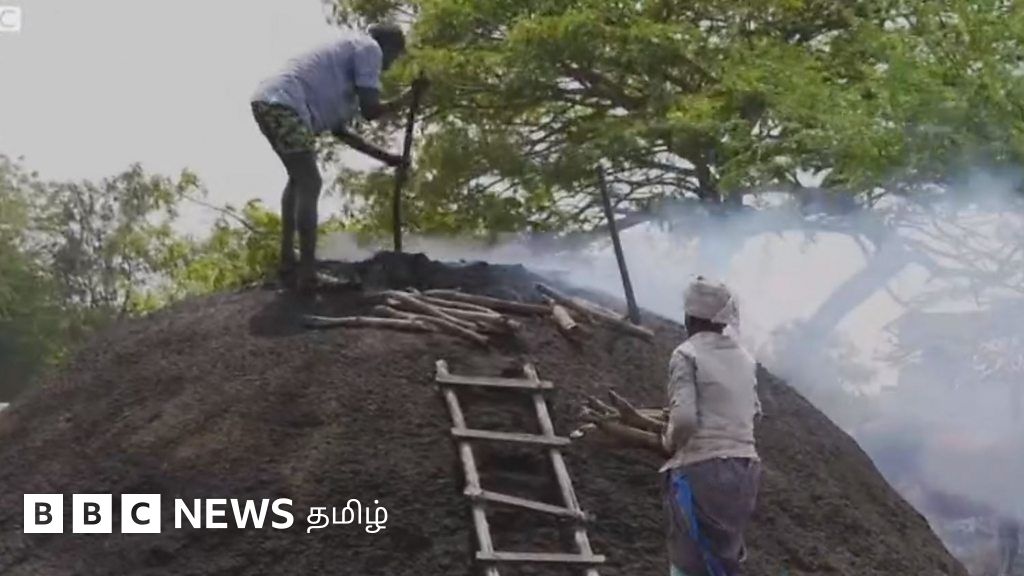 சீமைக் கருவேல மரங்கள் வரமா? சாபமா? உயிராபத்தையும் மீறி நடக்கும் கரிமூட்டத் தொழில்