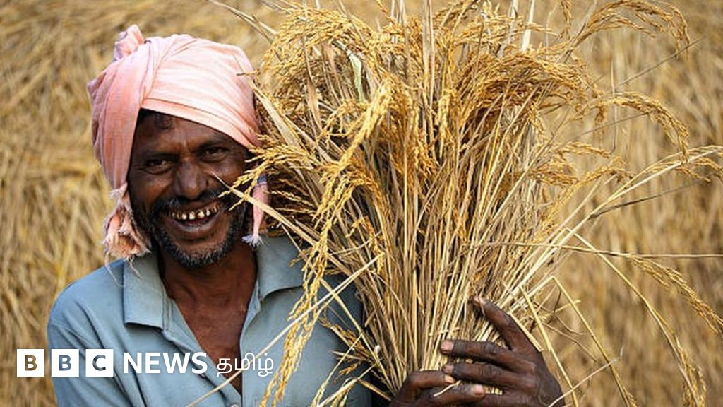தமிழ்நாடு நகர்ப்புற உள்ளாட்சி தேர்தல்: டெல்டா பிராந்தியத்தில் யாருக்கு அறுவடை? 9 மாவட்ட வெற்றி நிலவரம்
