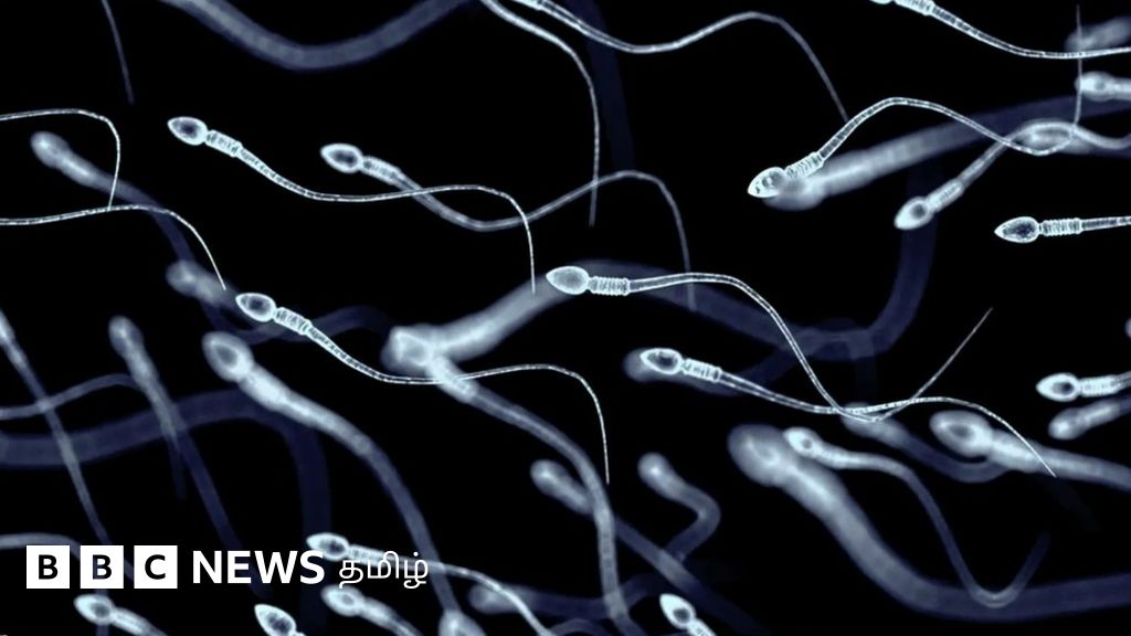 ஆண் கருத்தடை மாத்திரை இதுவரை ஏன் கண்டுபிடிக்கப்படவில்லை? - கலாசாரம் காரணமா?