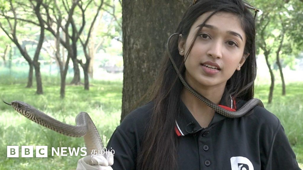 4 ஆண்டுகளில் 1500 பாம்புகளை மீட்பு - பாம்புகளை மீட்கும் மாணவர்கள் அமைப்பு