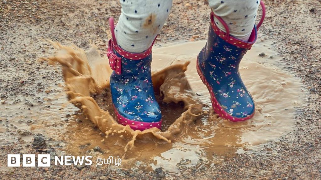 சேற்றுக் குளியல் நோய் எதிர்ப்பு சக்தியை எப்படி அதிகரிக்கிறது?