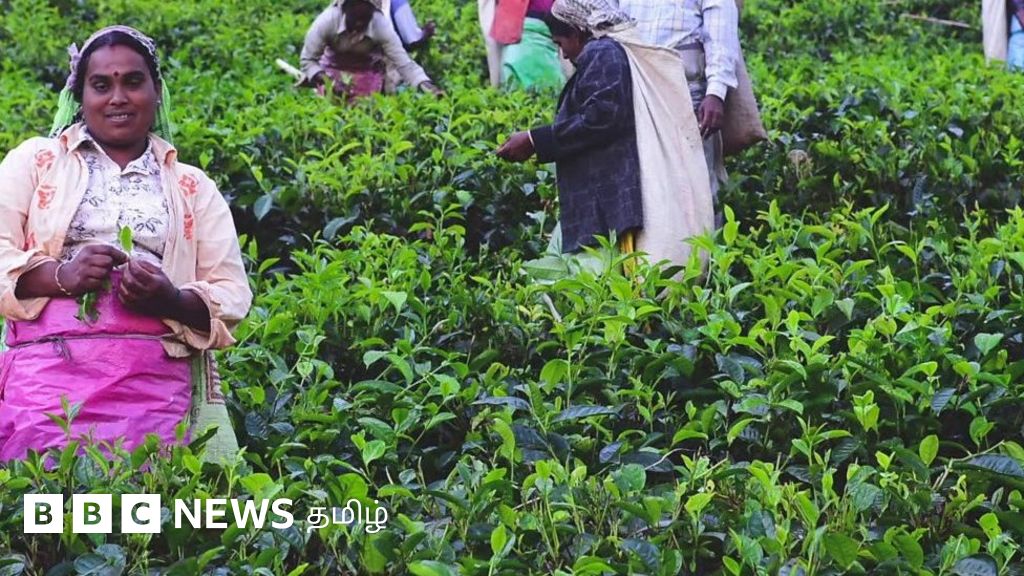 இலங்கையில் மலையகத் தமிழர்களின் வாழ்க்கை நிலை இழிவாக இருப்பதாக ஐ.நா அலுவலர் கவலை