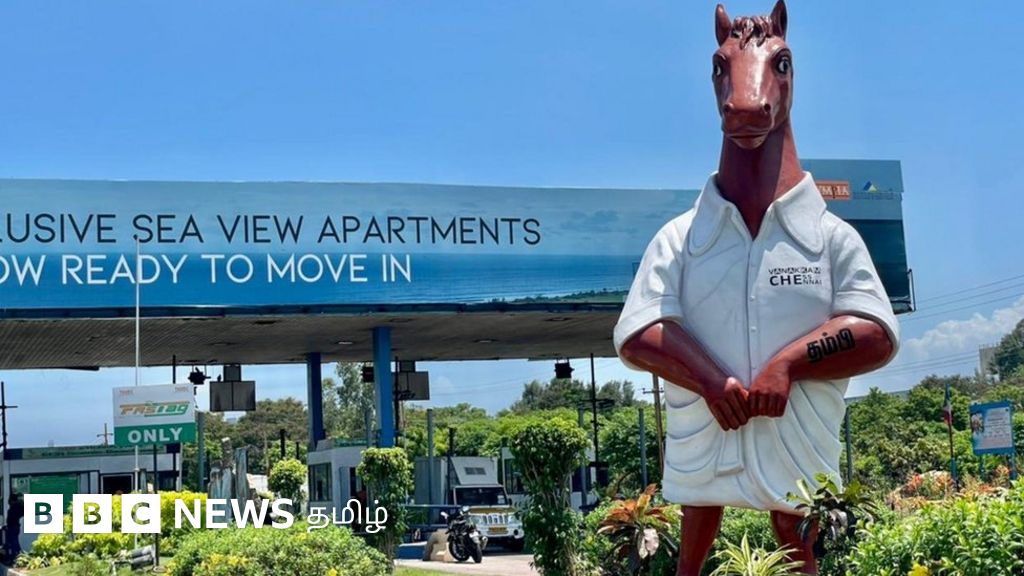 செஸ் ஒலிம்பியாட்: அதிக எண்ணிக்கையிலான அணிகள் பங்கேற்பு - வேறு என்னென்ன சிறப்புகள்?