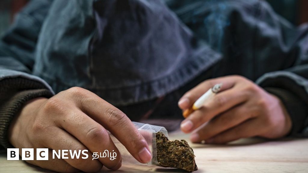 ஆபரேஷன் கஞ்சா வேட்டை: விற்பனை எப்படி நடக்கிறது? போலீஸ் எங்கே பாய்கிறது? எங்கே பாயவேண்டும்?