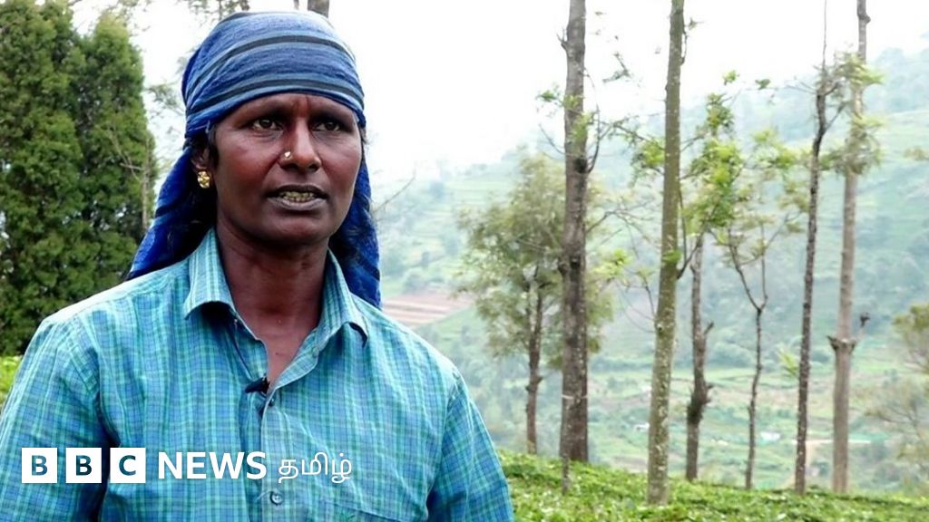 தேயிலை தோட்டத்தில் ஒரு பாட்டுக்குயில் - களைப்புக்கு மருந்தாகும் ரெஜினாவின் குரல்