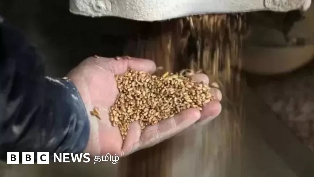 யுக்ரேன் போரால் உலகம் உணவு சிக்கலை எதிர்கொள்ள நேரிடும் - எச்சரித்த ஐ.நா