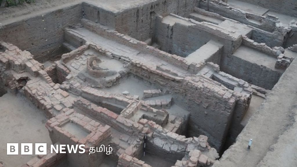 கீழடி அகழாய்வு கூறும் தமிழர் வரலாறு: குதிரை எலும்புகள், நெற்பயிர் எச்சங்கள் ஆய்வில் கிடைத்திருப்பது ஏன் முக்கியம்? - பாகம் 2 #Exclusive